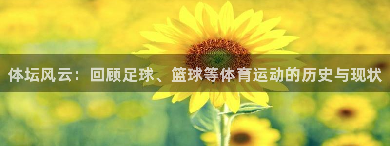 必发官方正版app集团E.ON：体坛风云：回顾足球、篮球等体