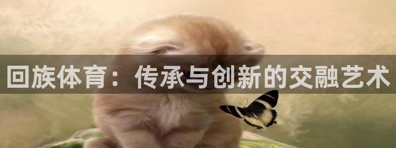 必发官网下载招商电话地址：回族体育：传承与创新的交融艺术