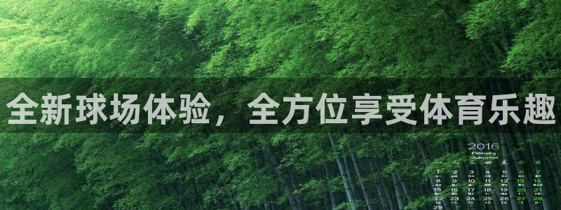 必发官方正版app新能源：全新球场体验，全方位享受体育乐趣
