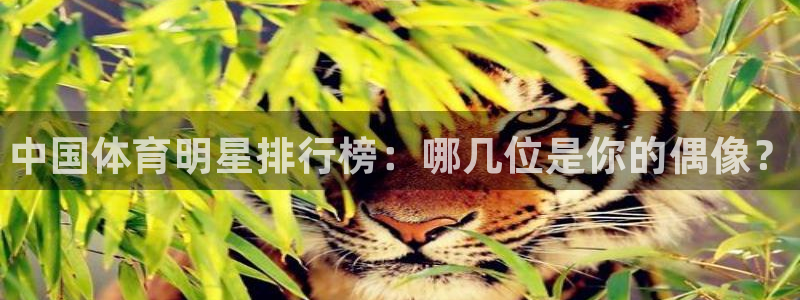 必发官方正版app娱乐下载：中国体育明星排行榜：哪几位是你的