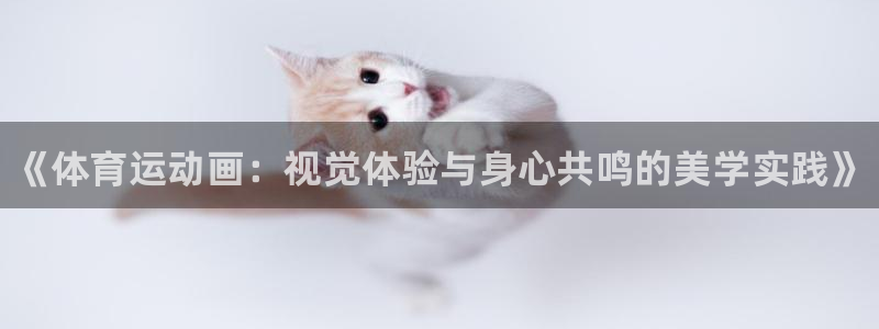 必发官网下载娱乐：《体育运动画：视觉体验与身心共鸣的