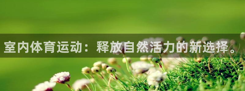 必发官网下载开户：室内体育运动：释放自然活力的新选择