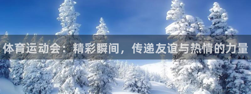 必发官网下载招商电话号码查询是多少：体育运动会：精彩