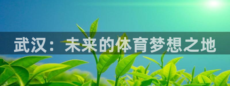 必发官方集团官网