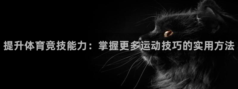 必发官网下载招商电话号码查询是多少：提升体育竞技能力