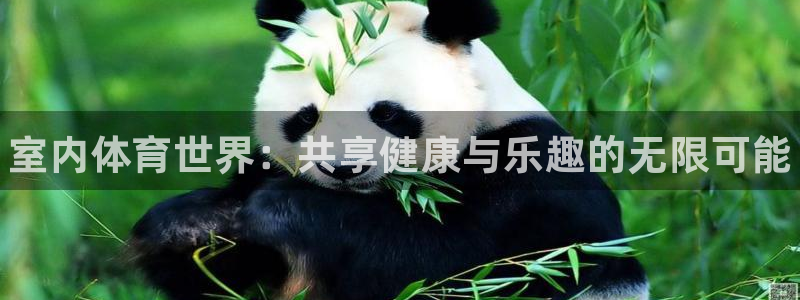 必发官网下载招商电话号码查询是多少：室内体育世界：共享健康与