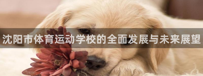 必发官方正版app集团E.ON：沈阳市体育运动学校的全面发展