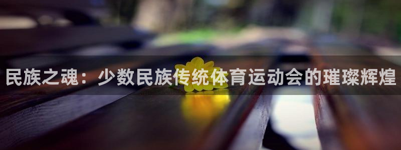 注册必发官方正版app：民族之魂：少数民族传统体育运动会的璀
