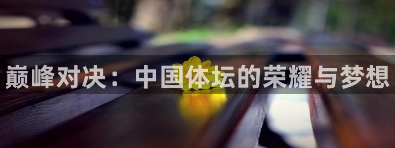 必发官方正版app娱乐首页官网下载