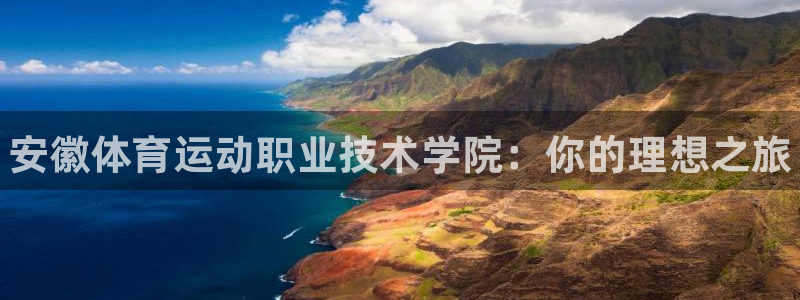 必发官网下载平台注册要钱吗安全吗：安徽体育运动职业技