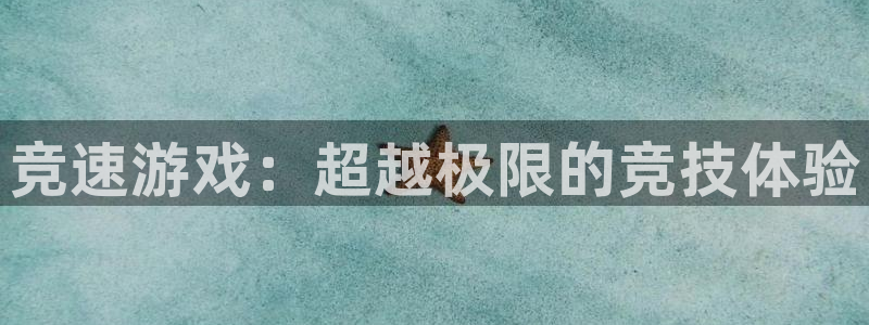 必发官网下载平台是正规平台吗：竞速游戏：超越极限的竞技体验