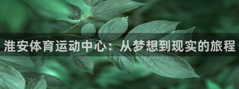 海南必发官网下载