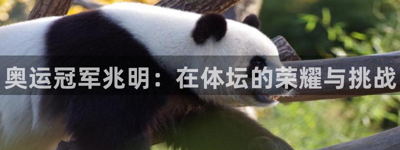 必发官网下载平台注册：奥运冠军兆明：在体坛的荣耀与挑