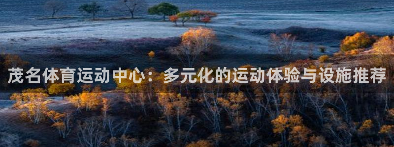 必发官方正版app集团E.ON