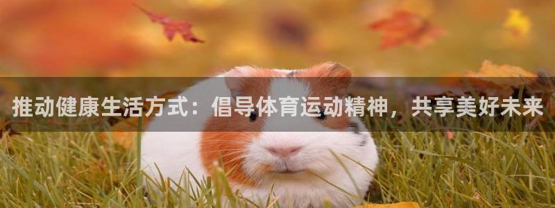 海南必发官网下载发展怎么样：推动健康生活方式：倡导体