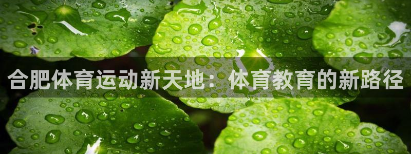 必发官网下载平台假的吗是真的吗吗