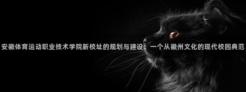 必发官方正版app神州：安徽体育运动职业技术学院新校址的规划