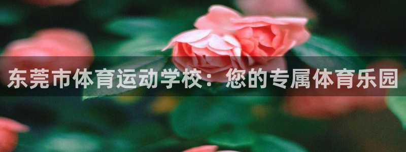 必发官方正版app娱乐首页官网下载：东莞市体育运动学校：您的