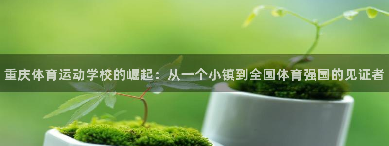 必发官网下载招商电话地址是多少