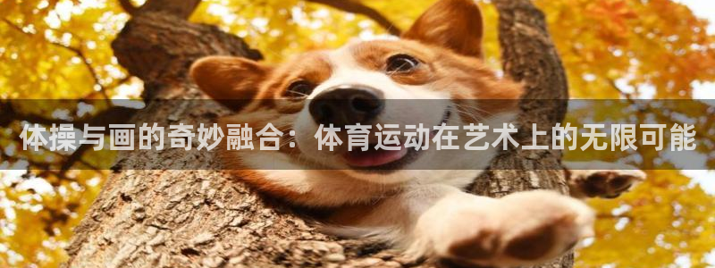 必发官网下载招商电话是多少：体操与画的奇妙融合：体育运动在艺