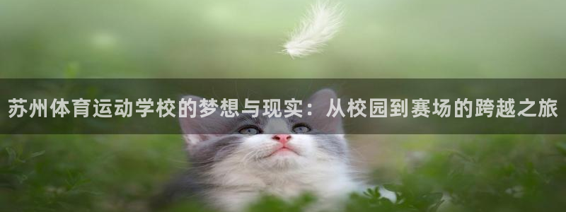 必发官方正版app科技：苏州体育运动学校的梦想与现实：从校园