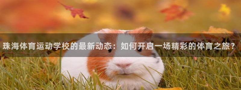 必发官方正版app新能源：珠海体育运动学校的最新动态：如何开