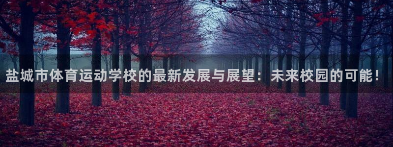 必发官方平台体育：盐城市体育运动学校的最新发展与展望