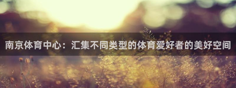 海南必发官网下载发展怎么样：南京体育中心：汇集不同类