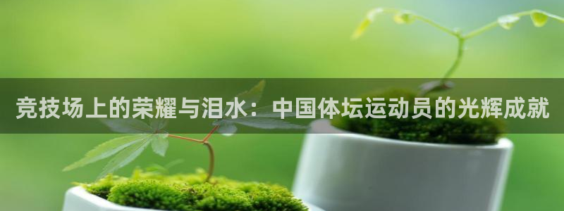 必发官方正版app娱乐