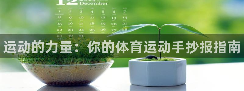 必发官方正版app娱乐网站