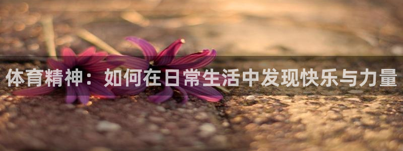 必发官方正版app娱乐是那个系列的台子：体育精神：如何在日常